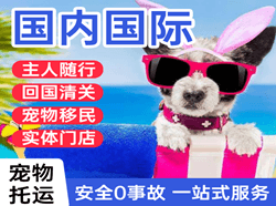 九寨黄龙机场空运国际宠物托运 【国